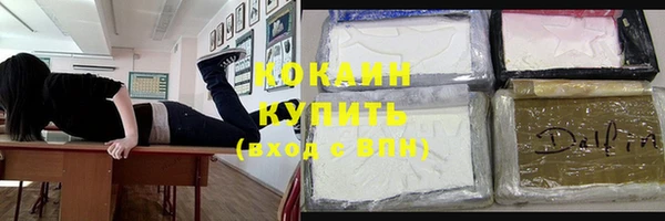 МДПВ Инсар