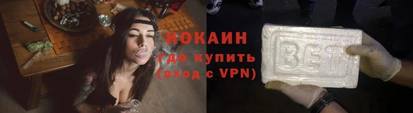 МДПВ Инсар