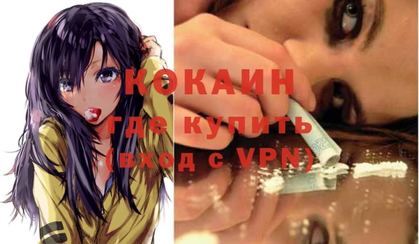 МДПВ Инсар