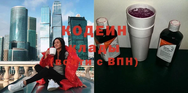 МДПВ Инсар