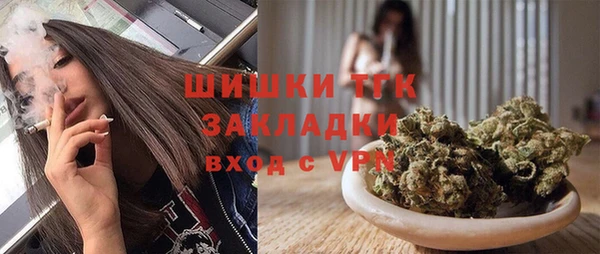 МДПВ Инсар
