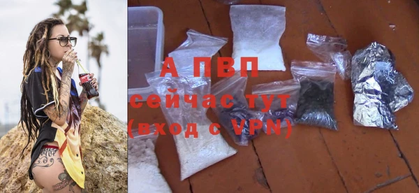 МДПВ Инсар