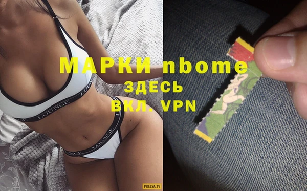 МДПВ Инсар
